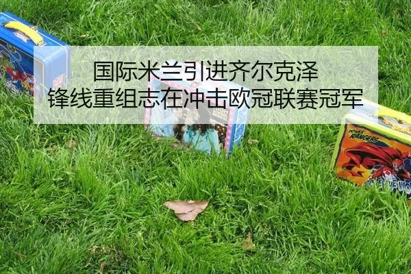 国际米兰引进齐尔克泽 锋线重组志在冲击欧冠联赛冠军