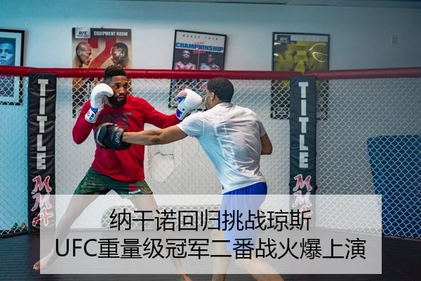 纳干诺回归挑战琼斯 UFC重量级冠军二番战火爆上演