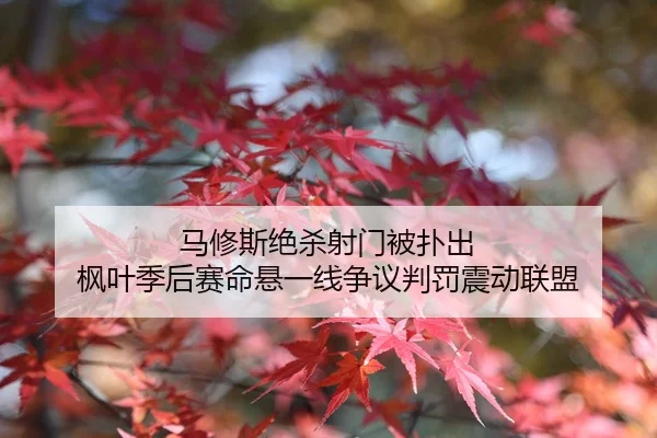 马修斯绝杀射门被扑出 枫叶季后赛命悬一线争议判罚震动联盟