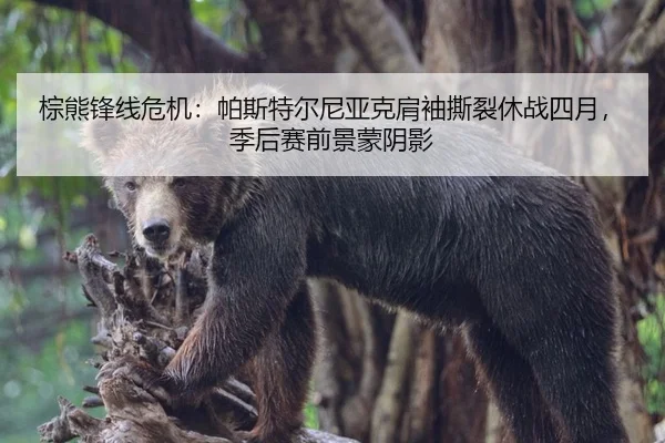 棕熊锋线危机：帕斯特尔尼亚克肩袖撕裂休战四月，季后赛前景蒙阴影